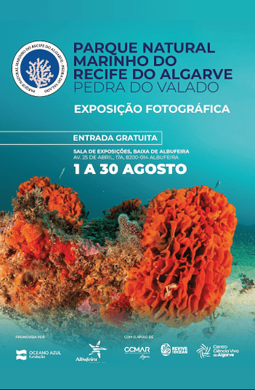 Exploring the Algarve Reef