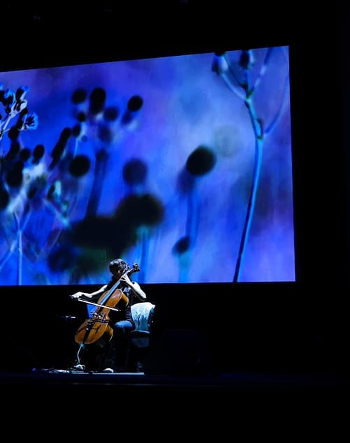 "Moura – Azul Assim Apenas", by Pedro Moura and Bruna de Moura