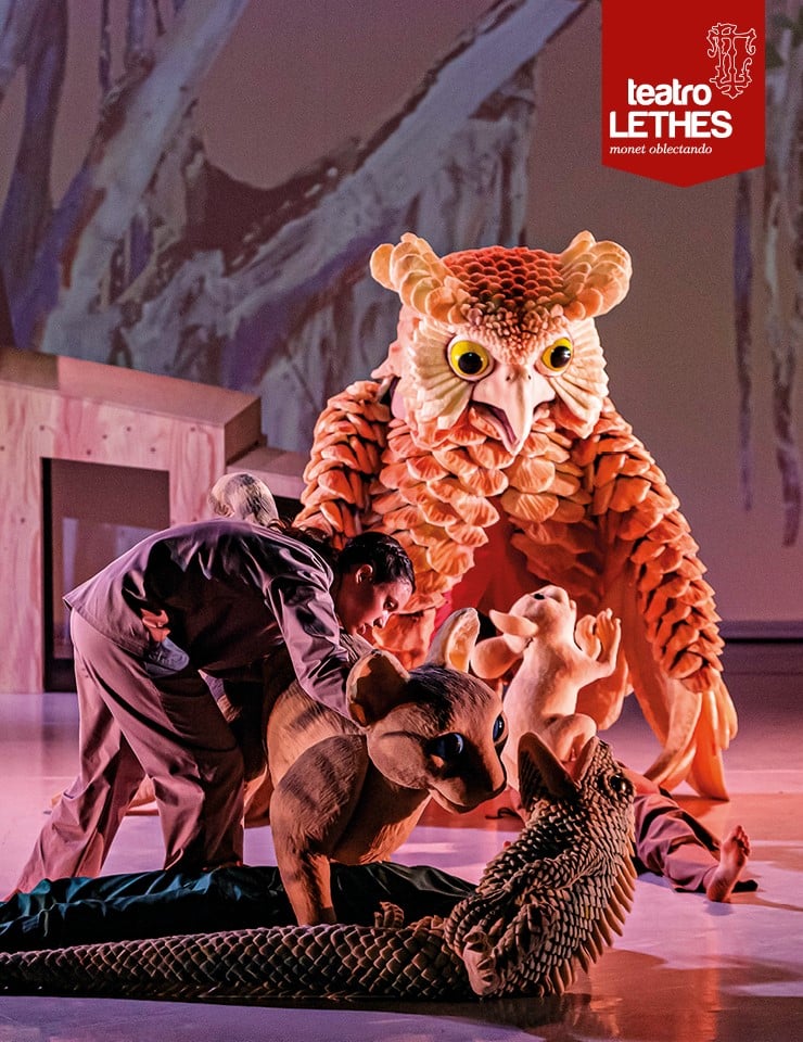 La gata que quería cambiar la historia: Thomas Noone Dance