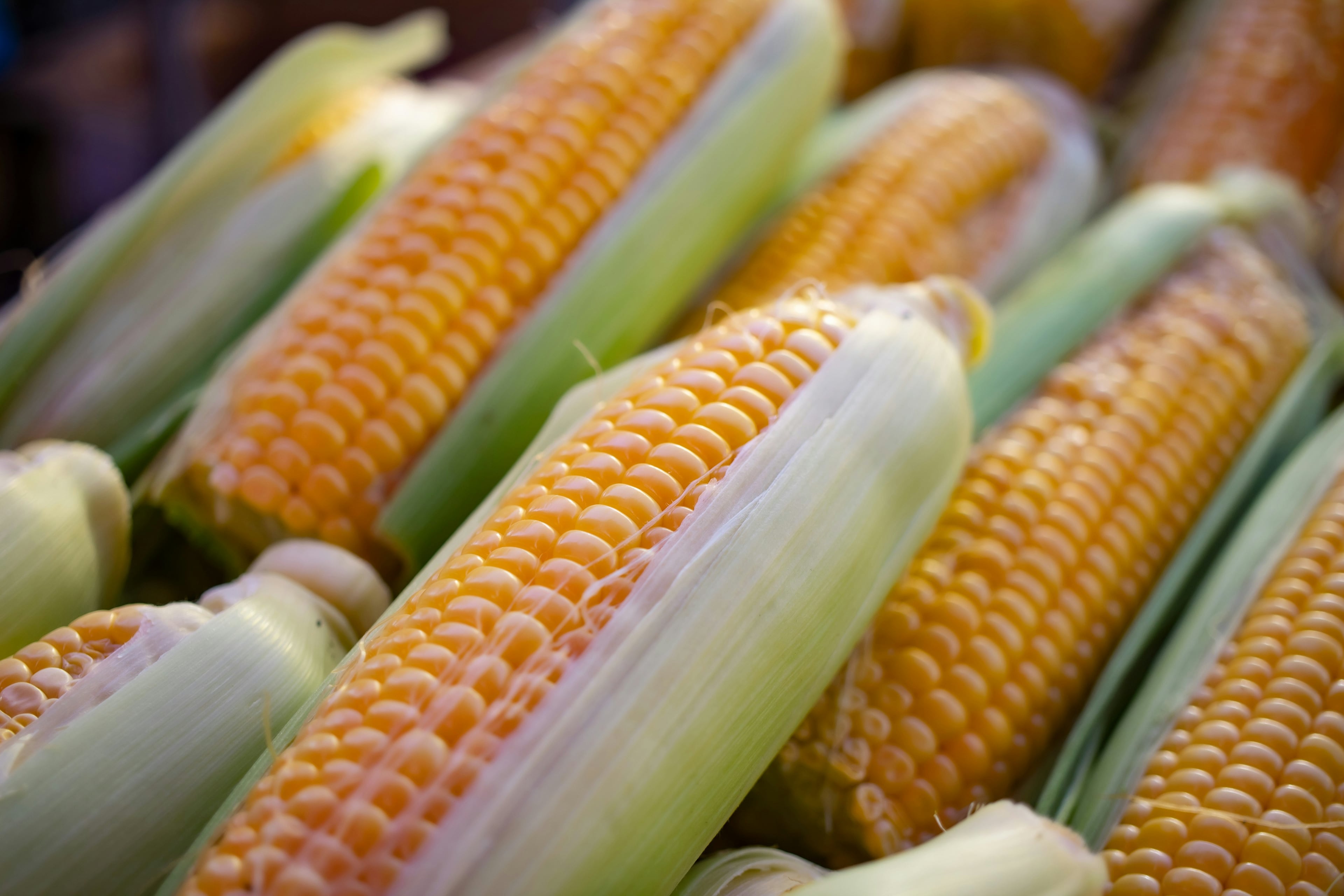 Corn Peeling Event