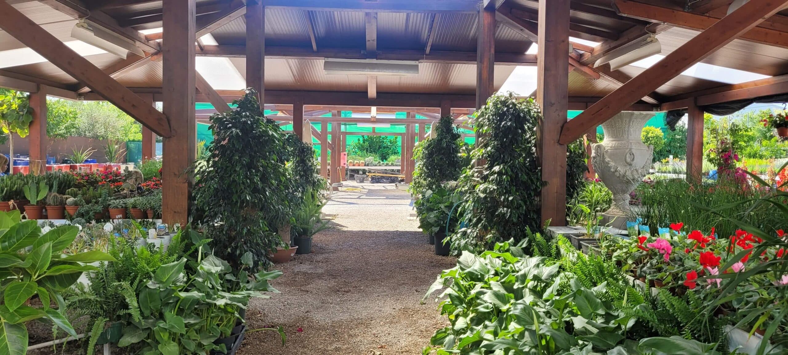 Viplant Garden Centre Algarve