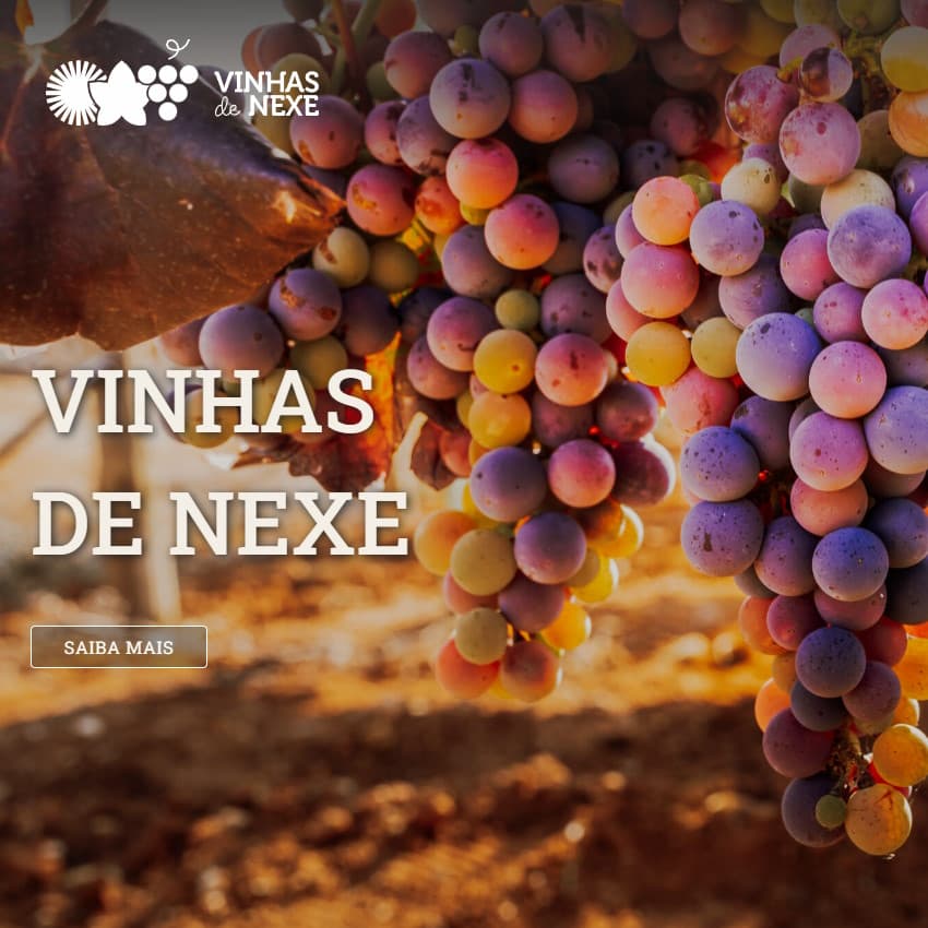 Vinhas de Nexe