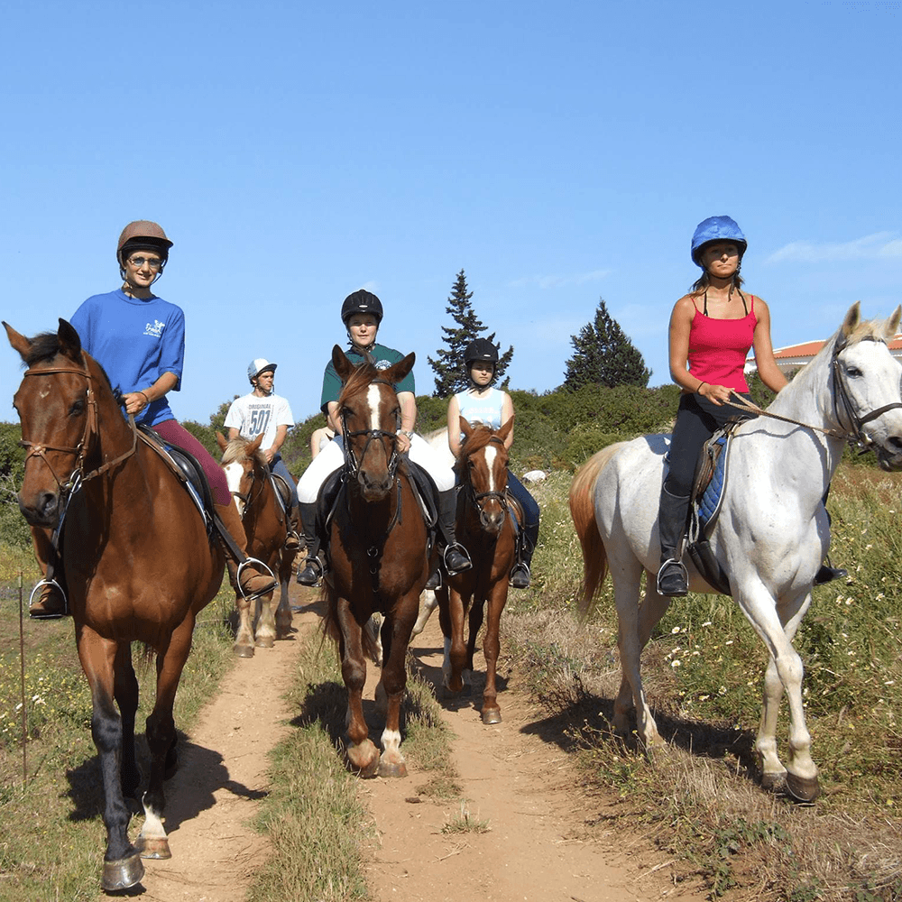 Tiffany's Riding Centre