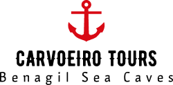 Carvoeiro Tours logo