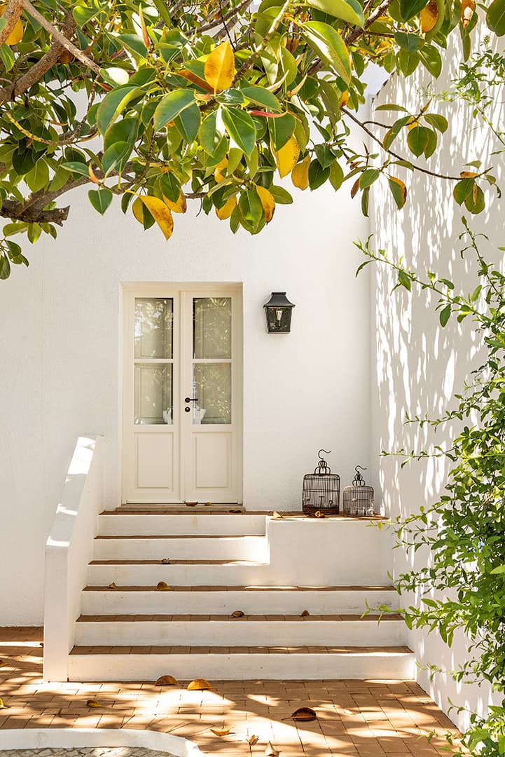 White & Kaki