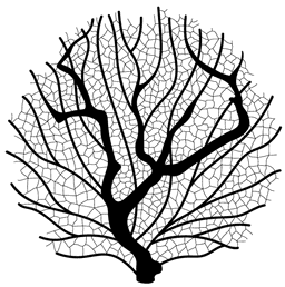 A Mesa Tavira logo