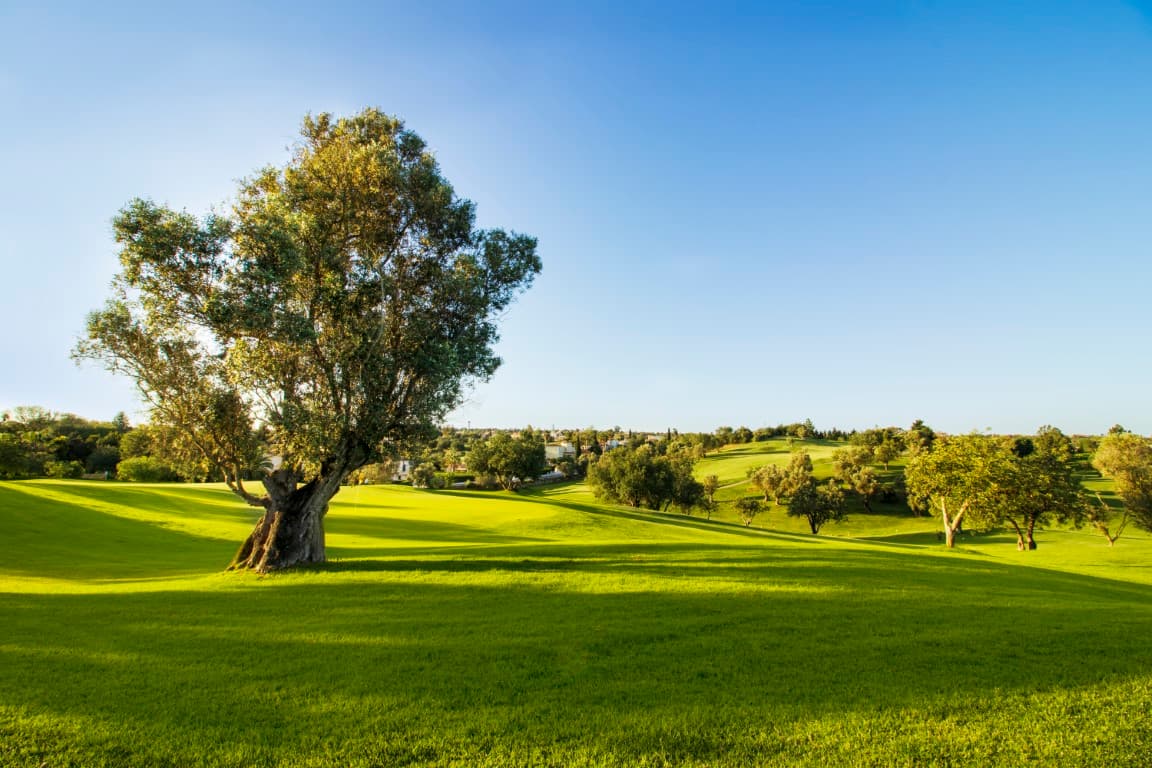 Pestana Gramacho Golf Course