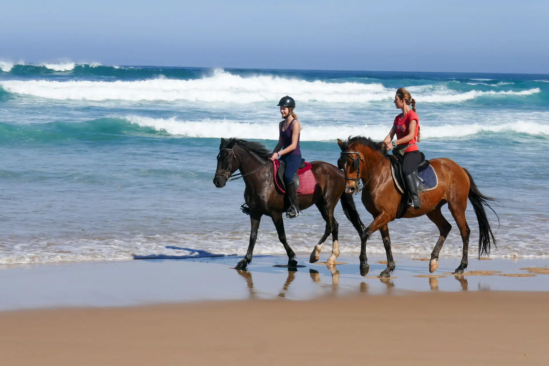 Horse Adventure Tours