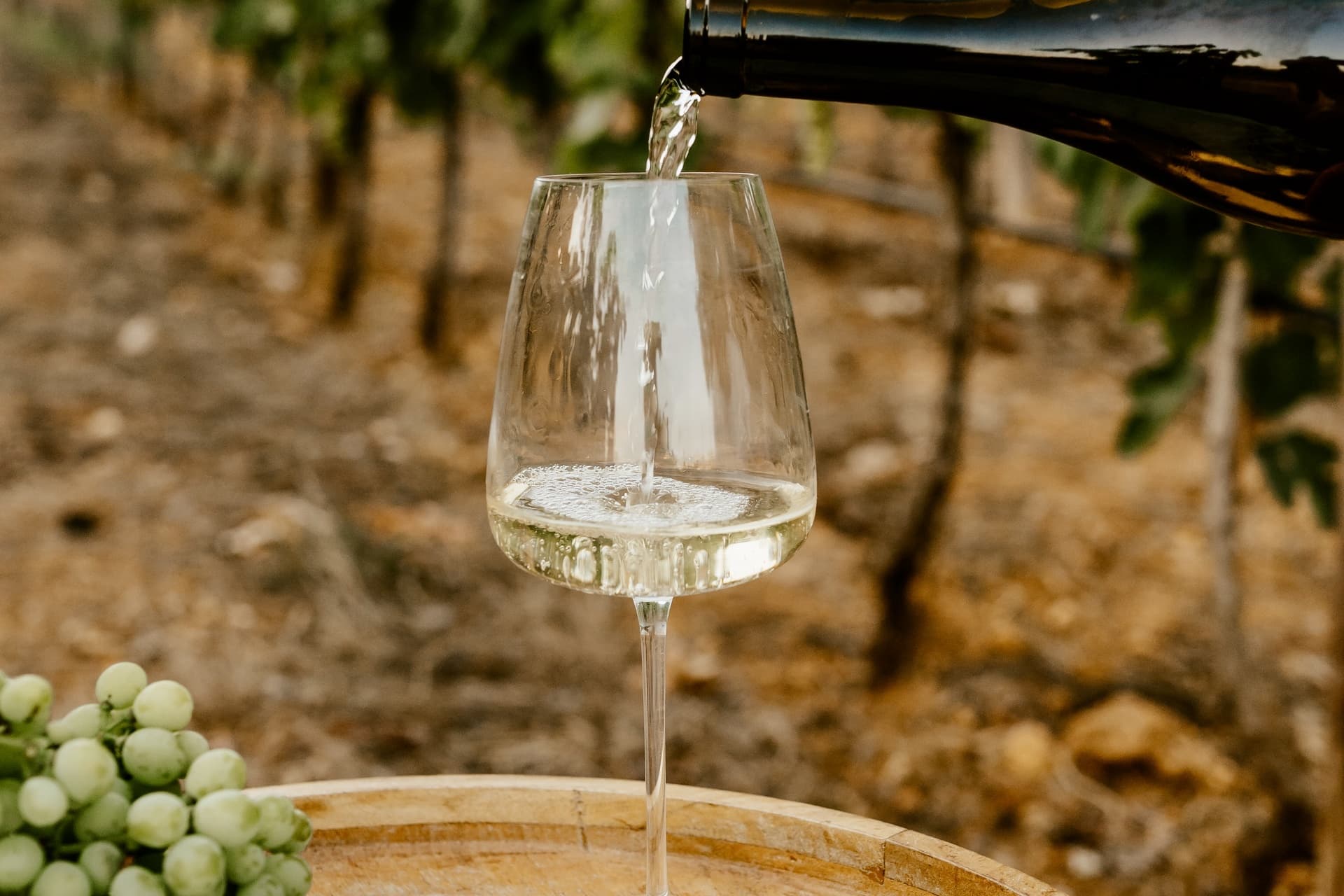 Quinta dos Santos