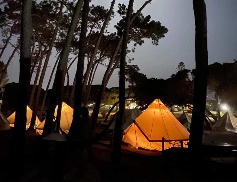 Wavy Surf Camp