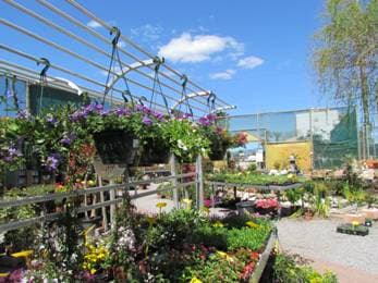 Q Garden Garden Centre
