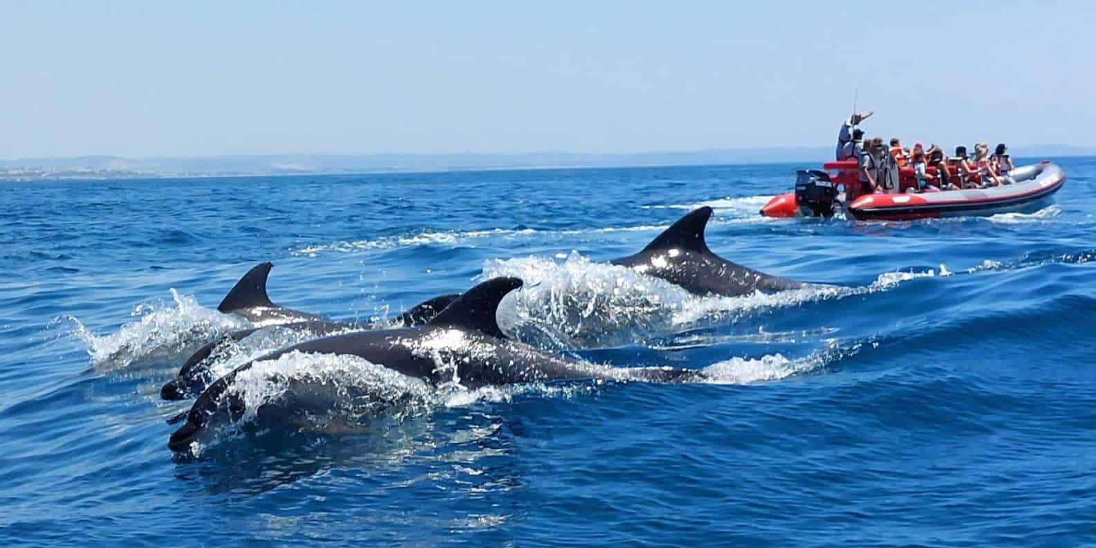 Algarve Nature Tours