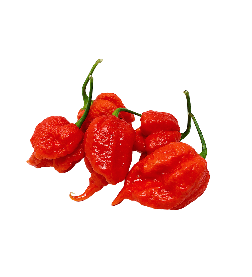 Piri-Piri & Co.