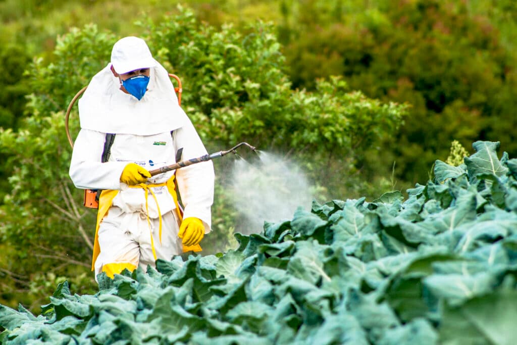CAEM - Cooperativa Agrícola A Esperança de Moncarapacho