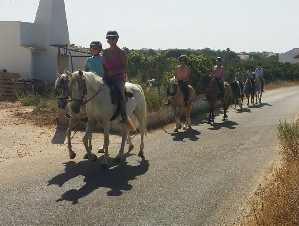 1-Hour Countryside Trek
