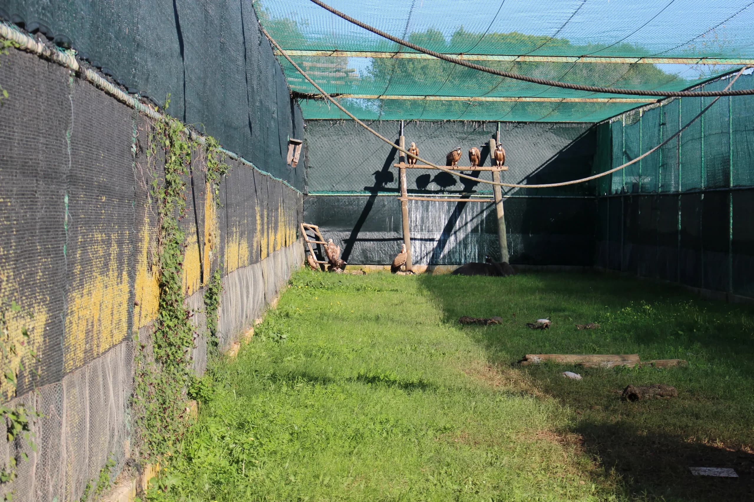 RIAS - Centro de Recuperação e Investigação de Animais Selvagens