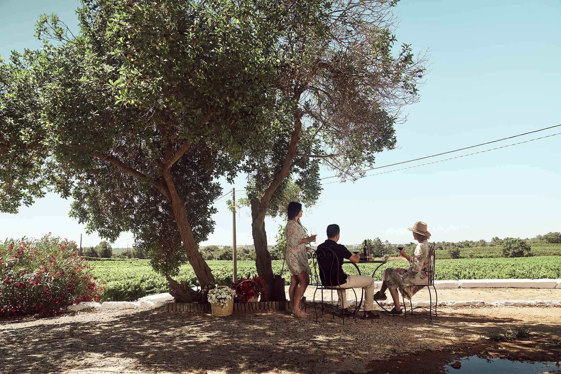 Paxá Wines
