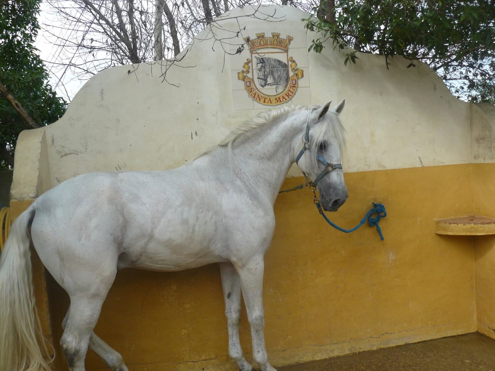 Centro Hípico Santa Maria