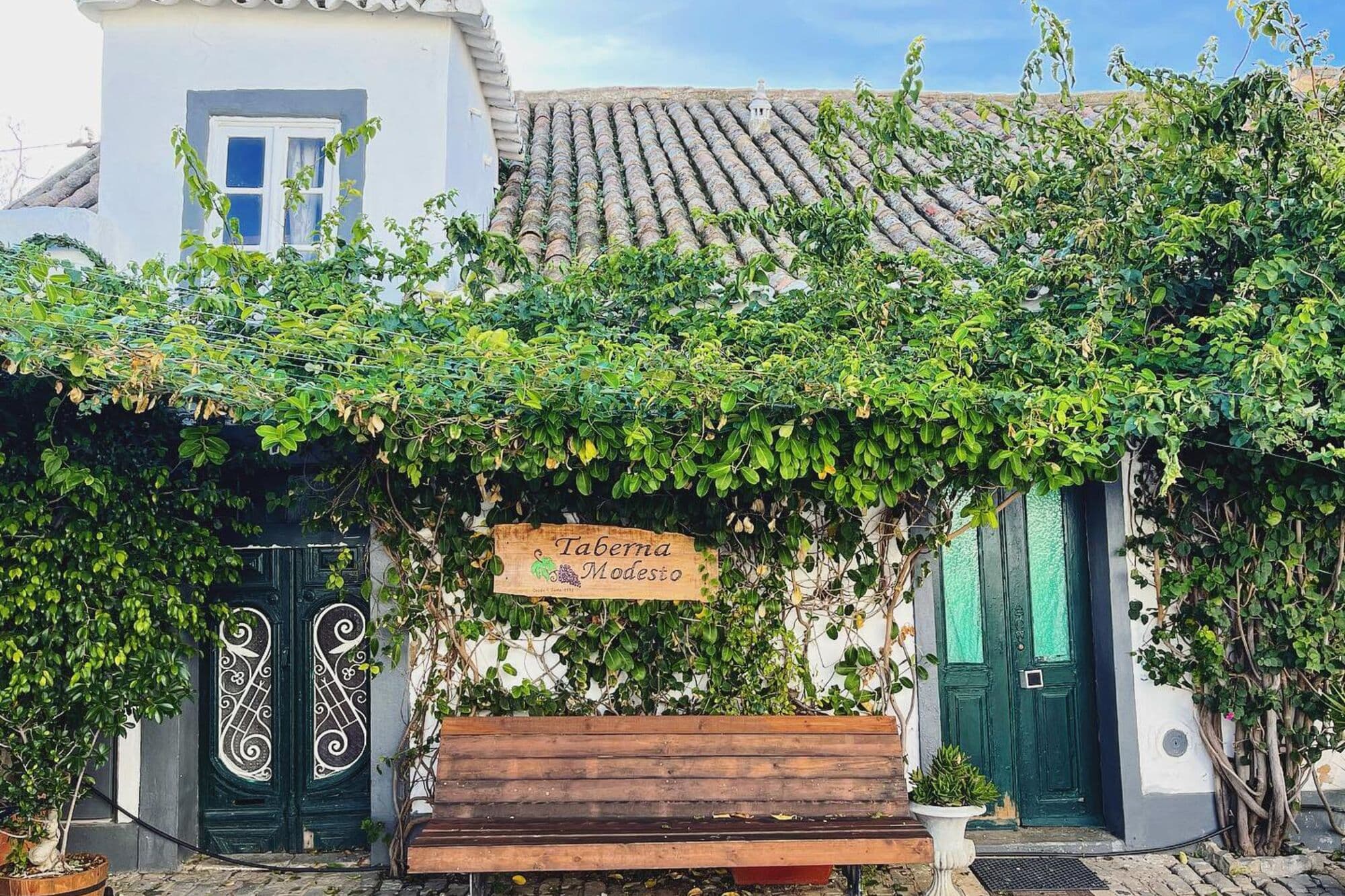 Taberna Modesto