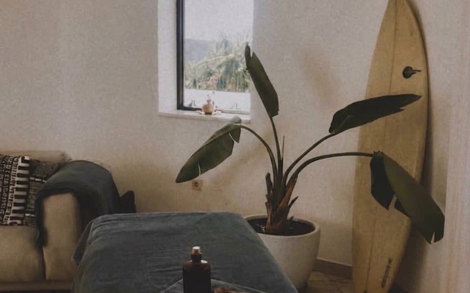 Shaantha Ayurvedic Massage & Wellness Sagres