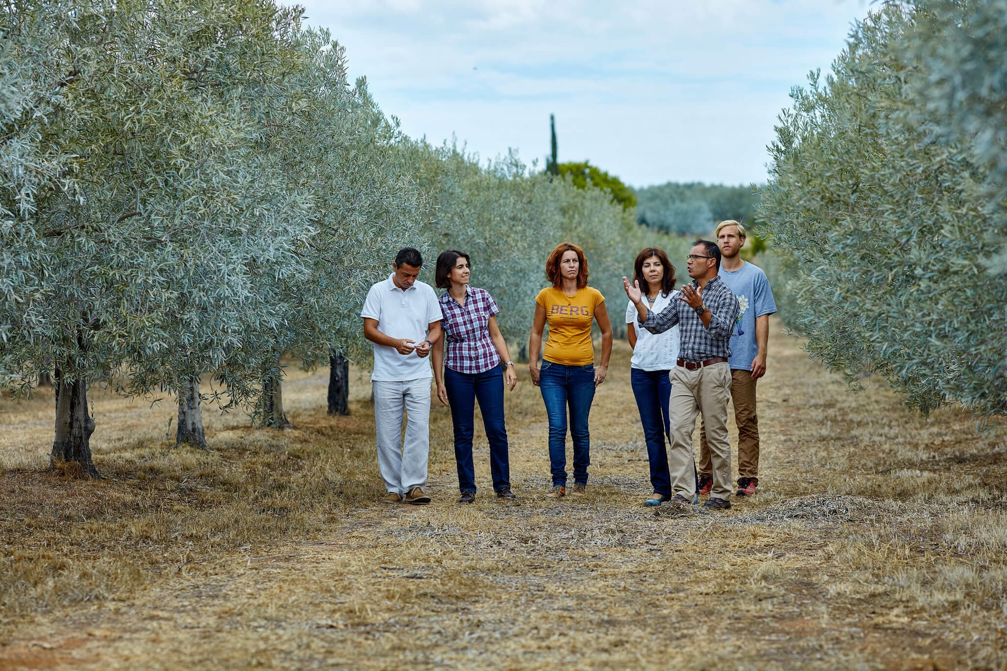 Monterosa Olive Oil
