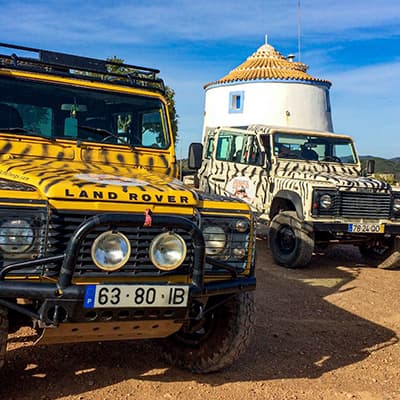 Zebra Safari Tours