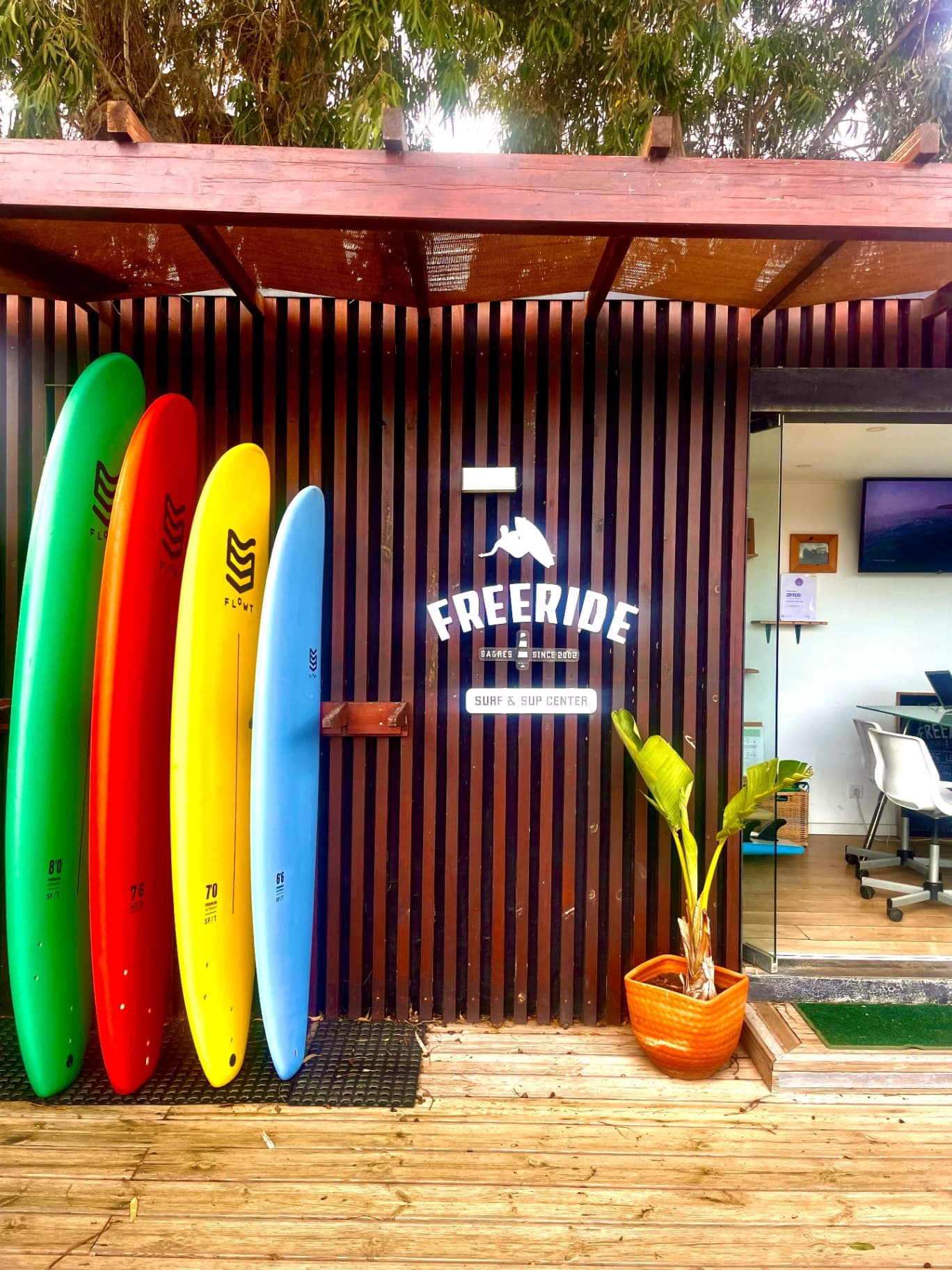 FreeRide Surfing