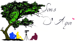 Sons D'Aqui logo
