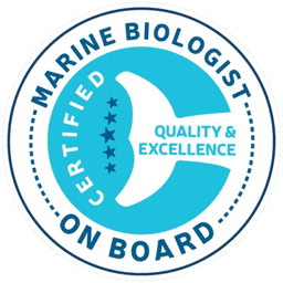 Sealife Dolphin Watching logo