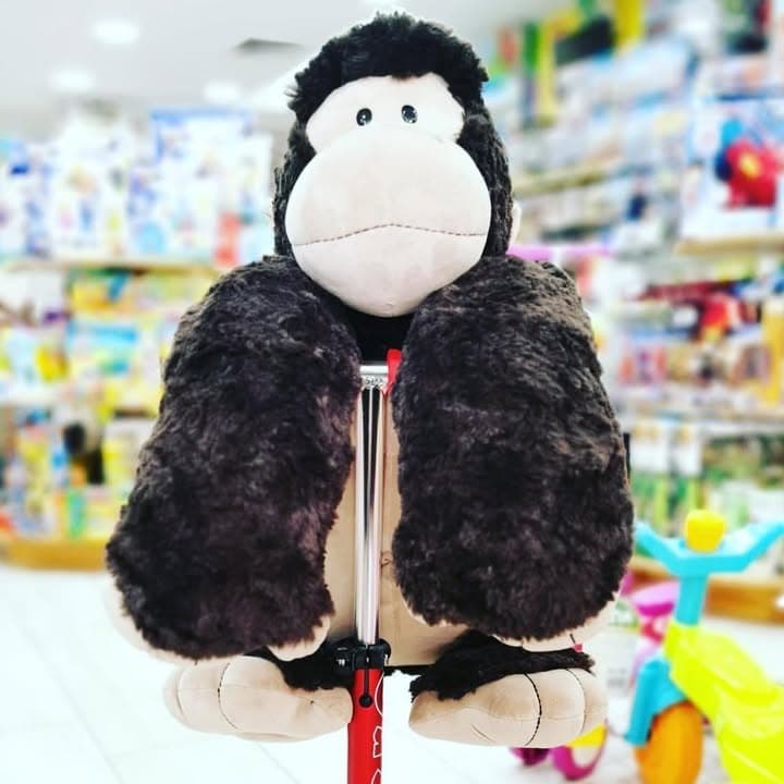 Zeana Toys & Gifts