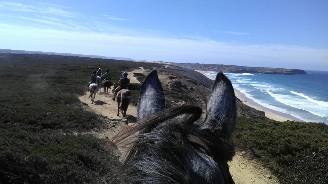 Horses in the Sun