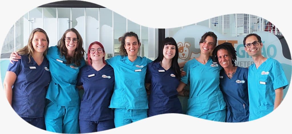 Vetgilao – Centro Veterinário