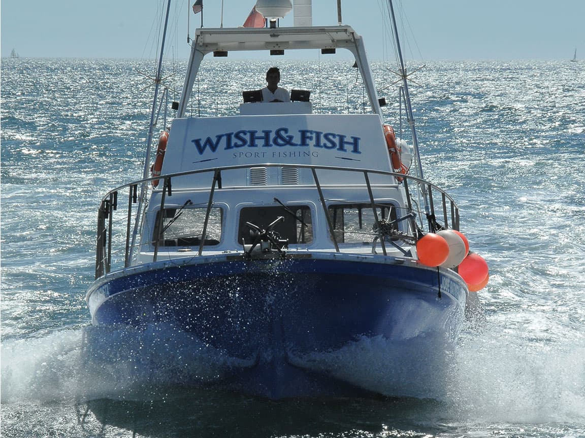 Wish and Fish