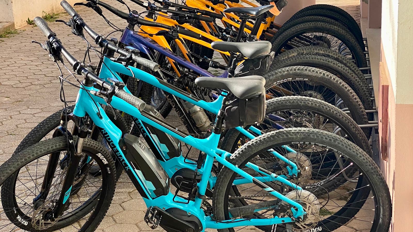 Bica Bikes