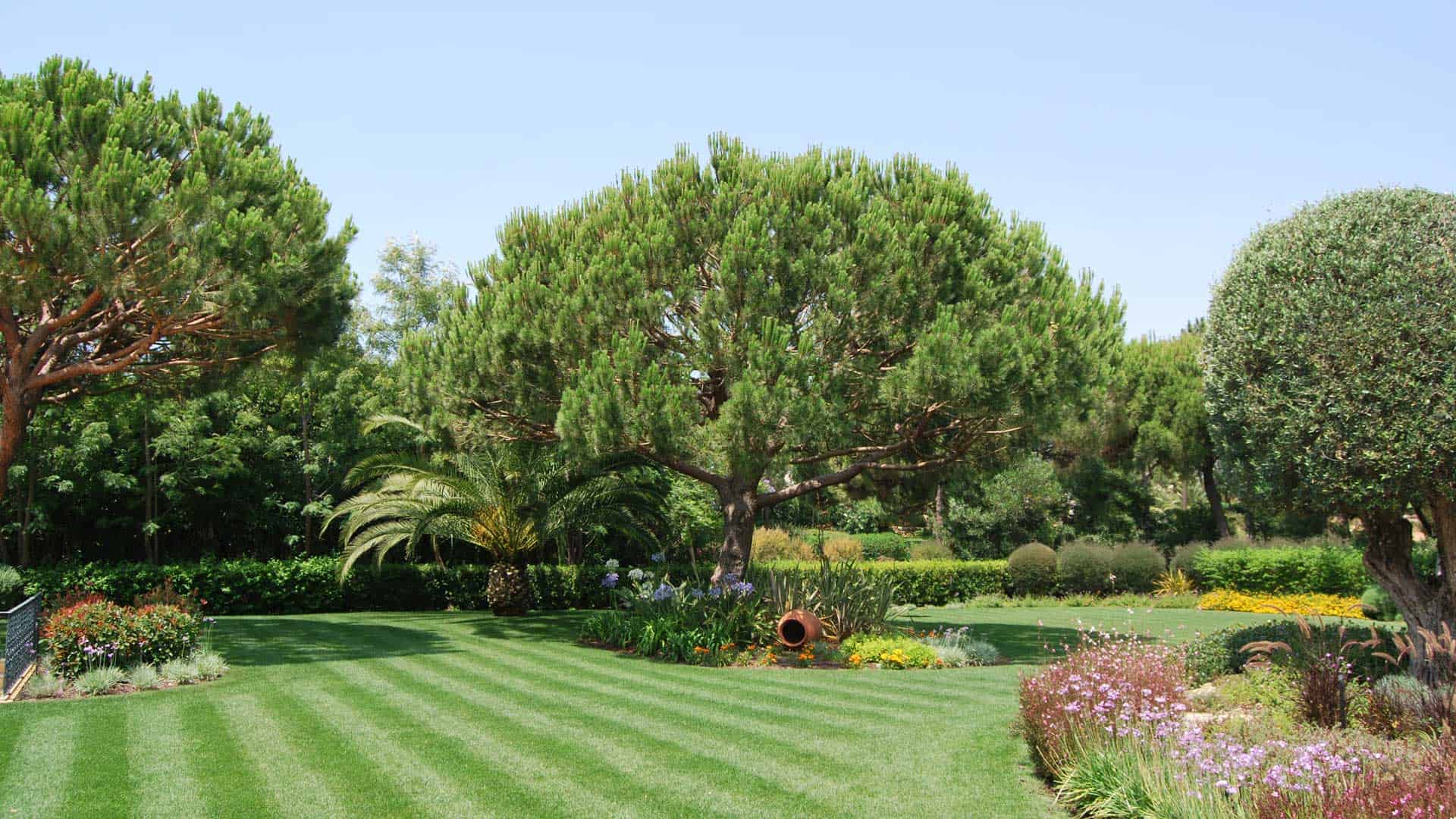 Bloom Landscaping