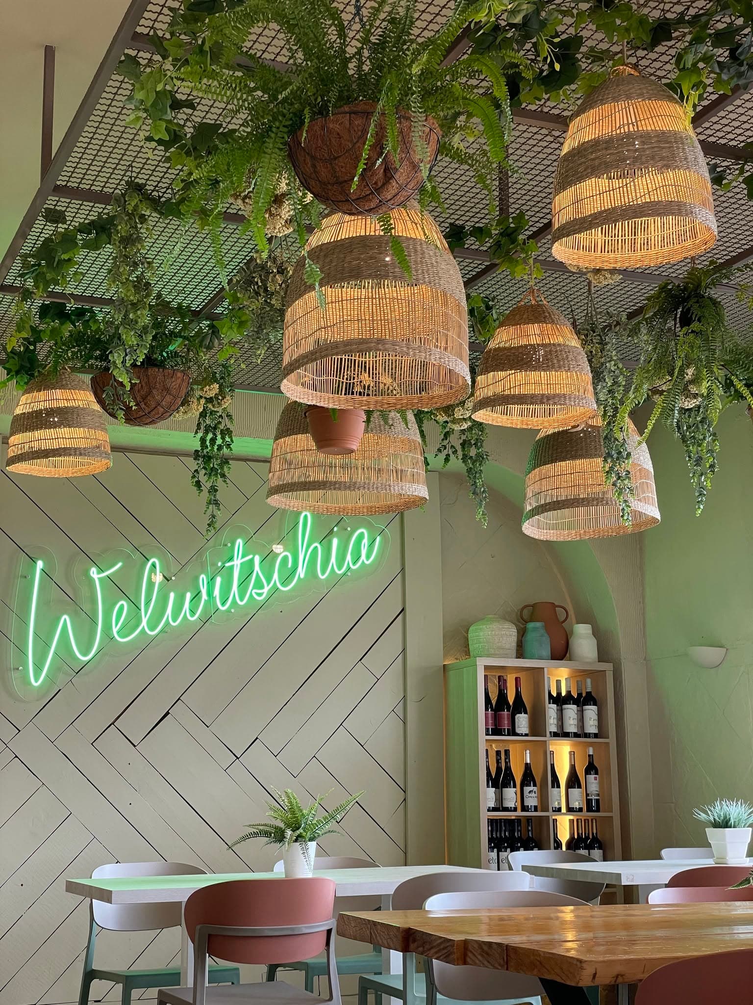Welwitschia Restaurante Pizzaria