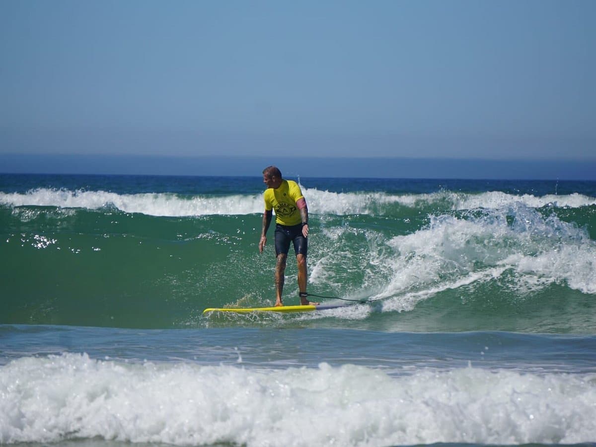 AMAR Surfing Academia