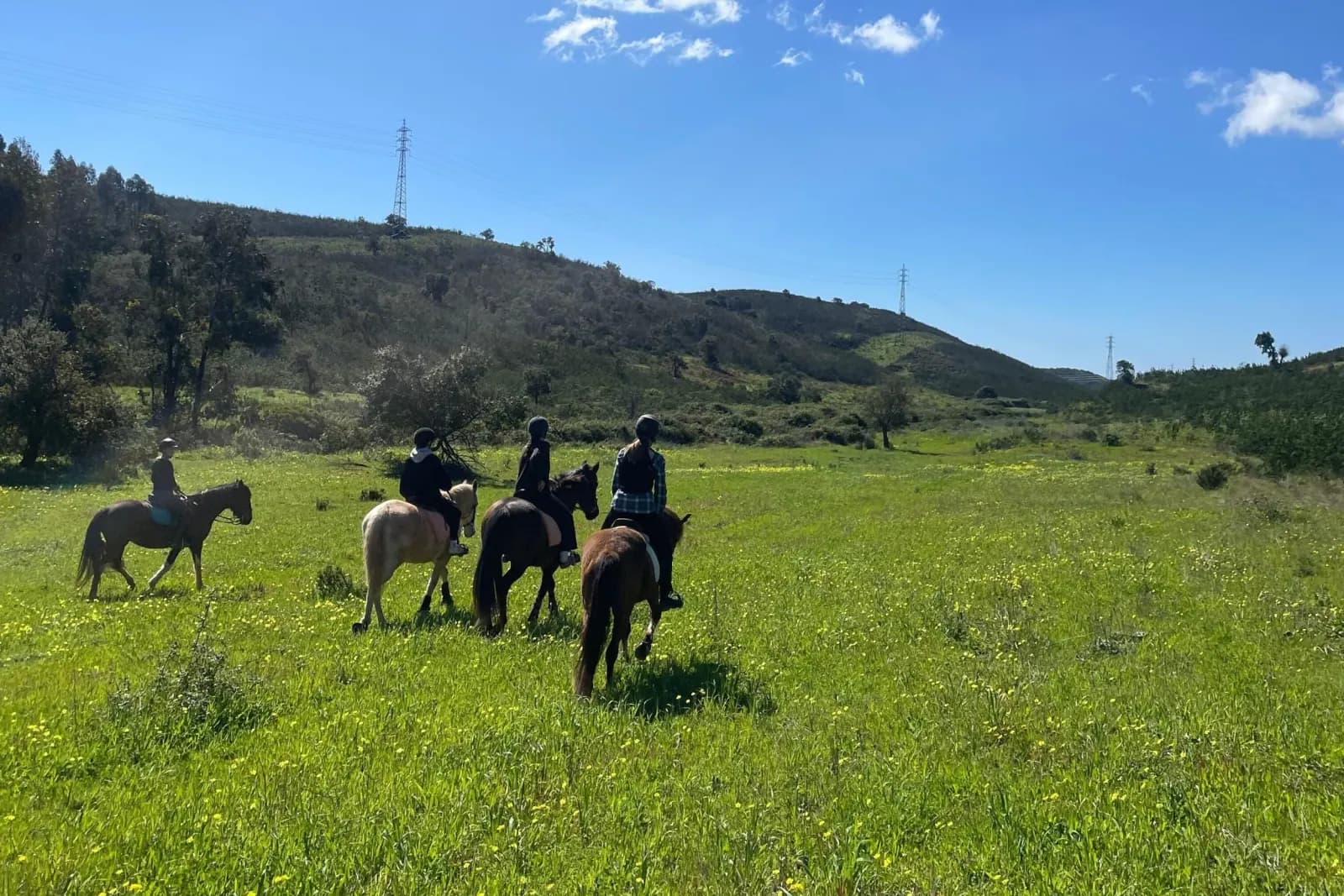 1-Hour Countryside Ride