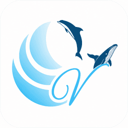 Ocean Vibes logo