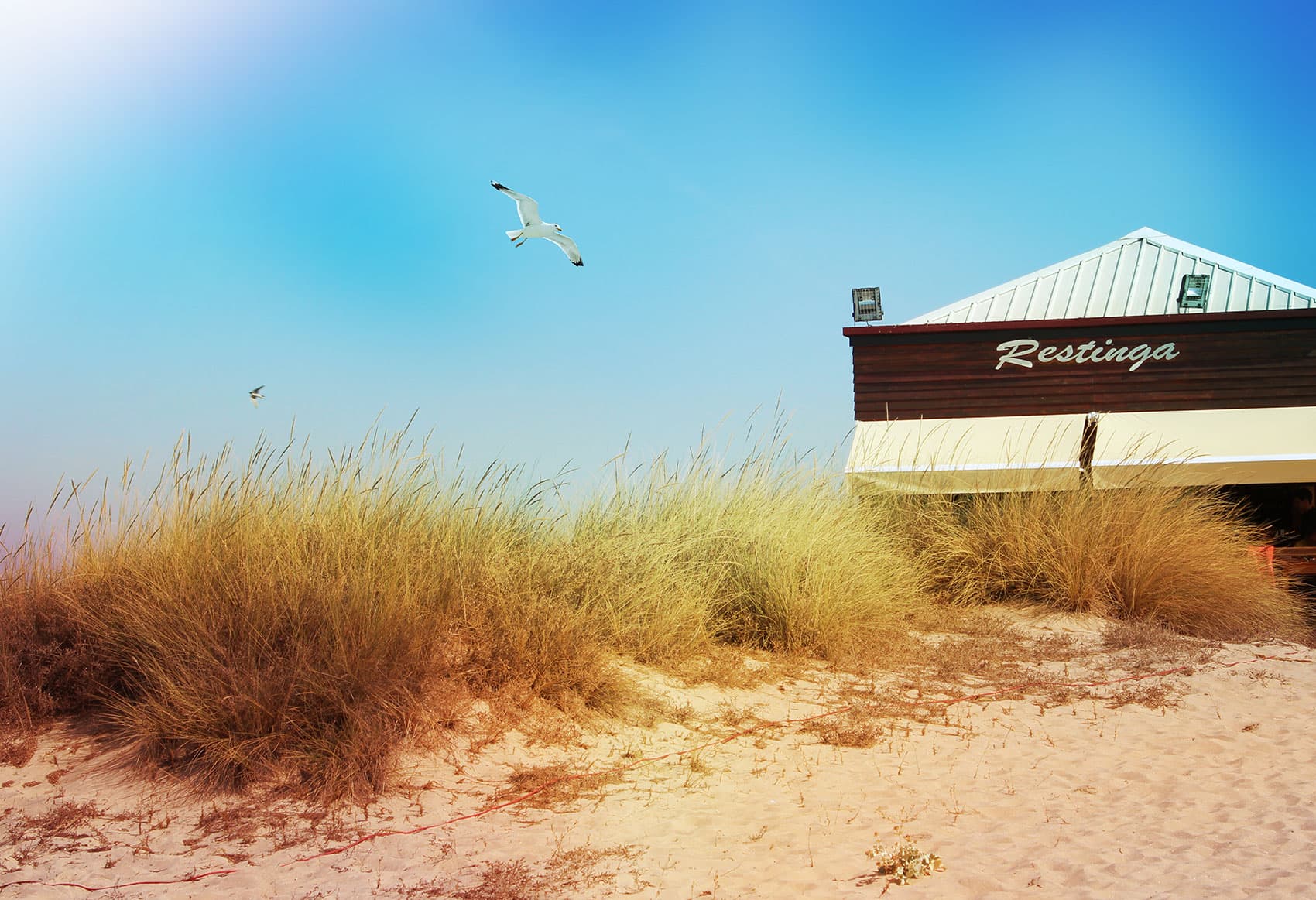 Restinga Praia