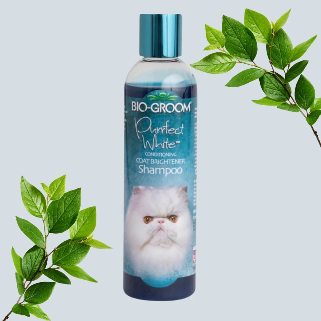 Bio-Groom Purrfect White conditioning cat shampoo, 236 ml