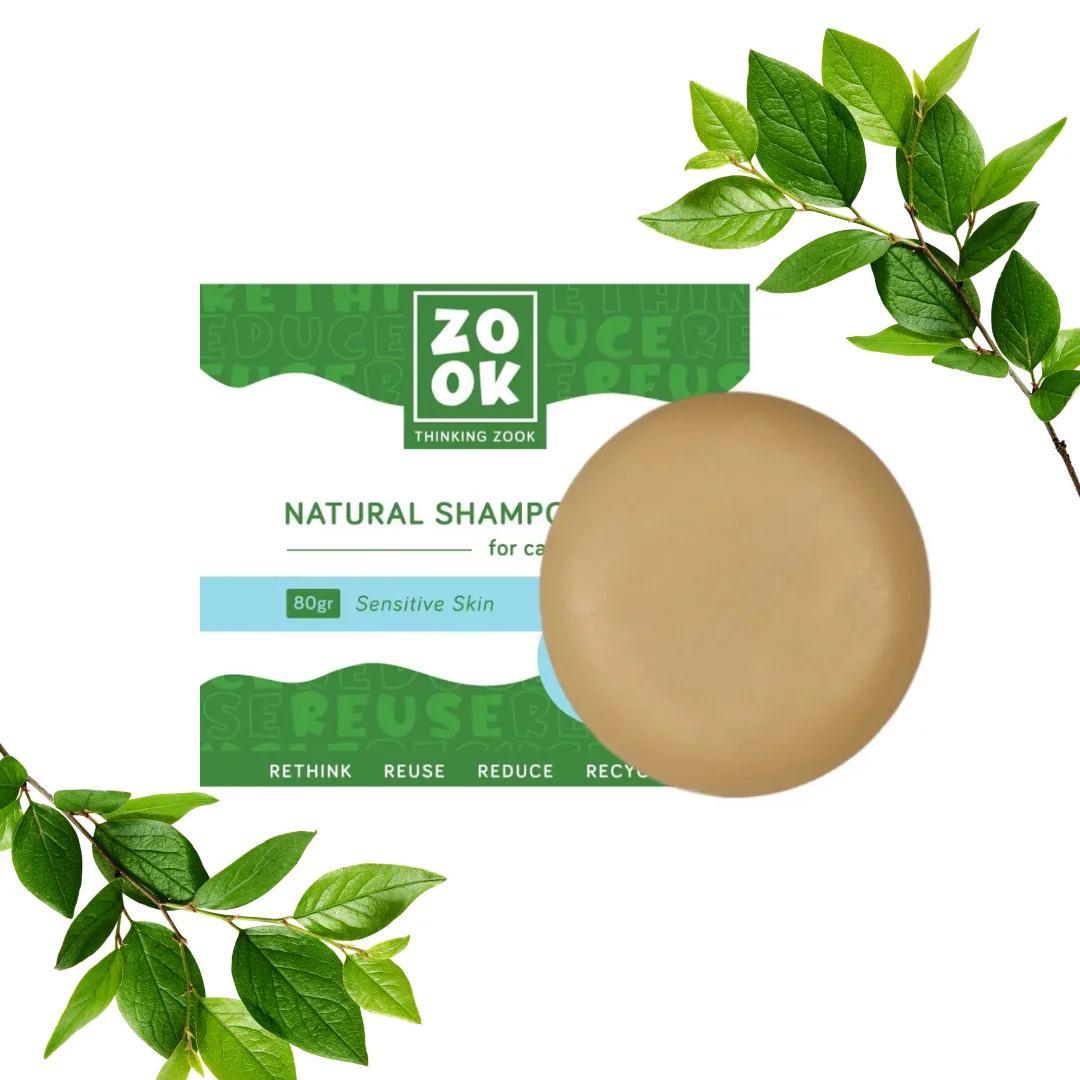 Zook solid shampoo for frequent use, 80 g