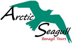 Arctic Seagull - Benagil Trips logo