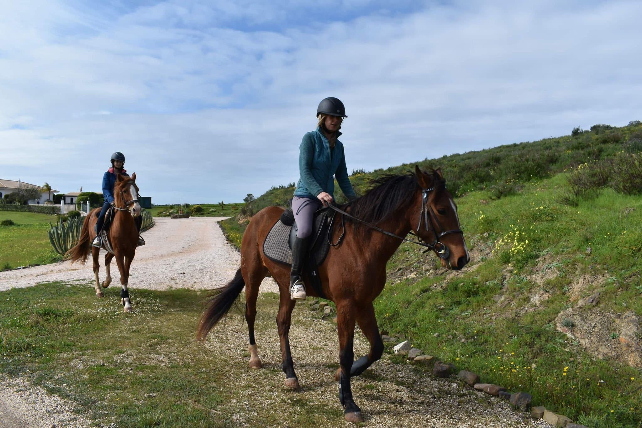 Lagos Horse Riding & Rescue