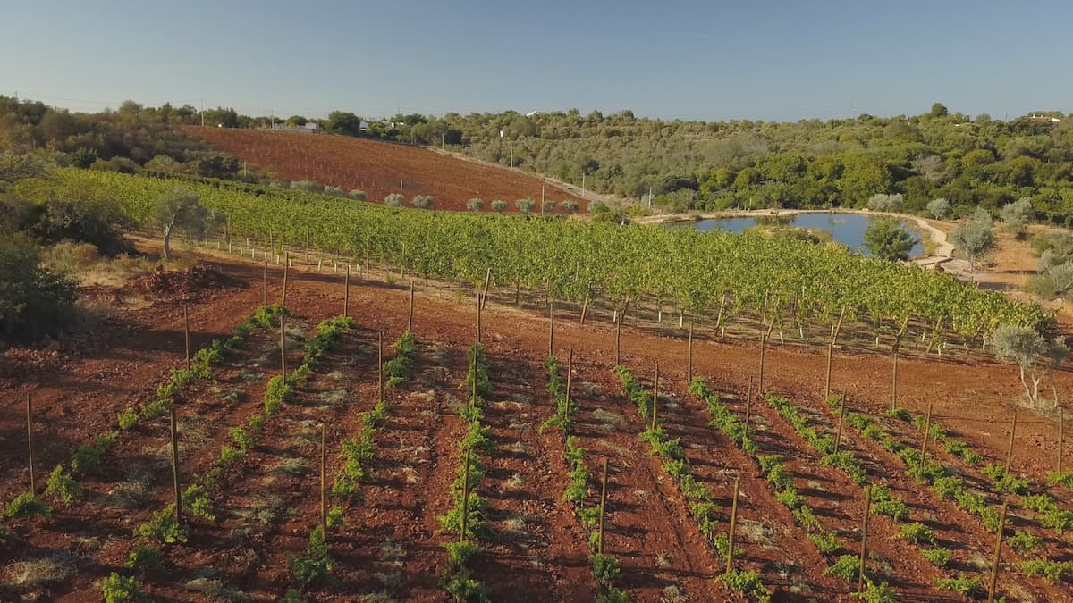 Quinta dos Sentidos