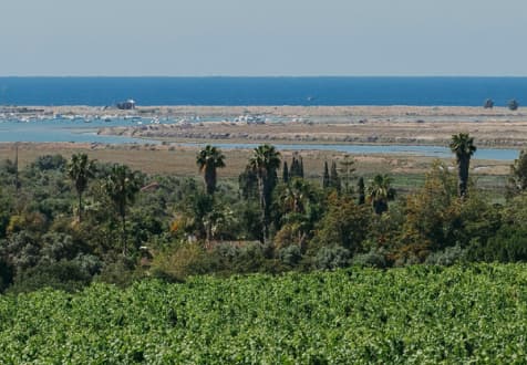 Villa Alvor