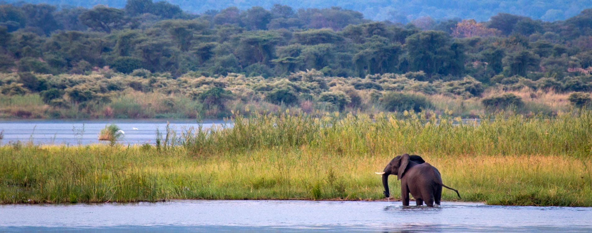 Explorations Africa