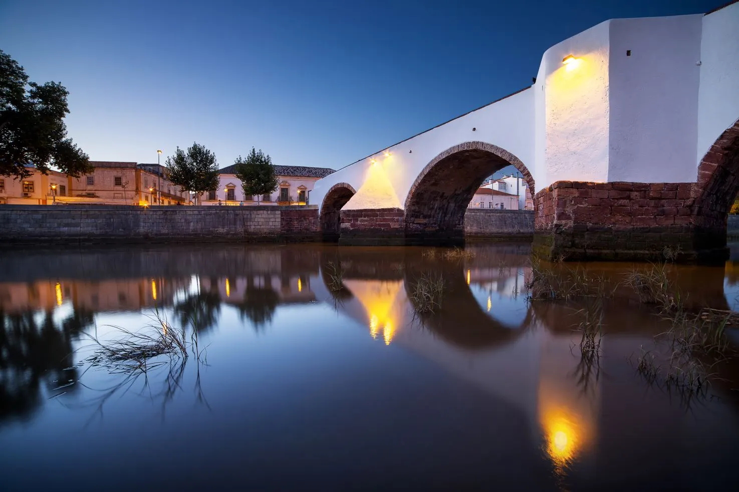 Feel Free Algarve Tours