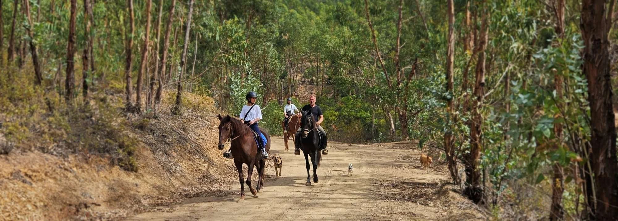 Talurdo Stables