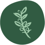 Salema Eco Camp logo